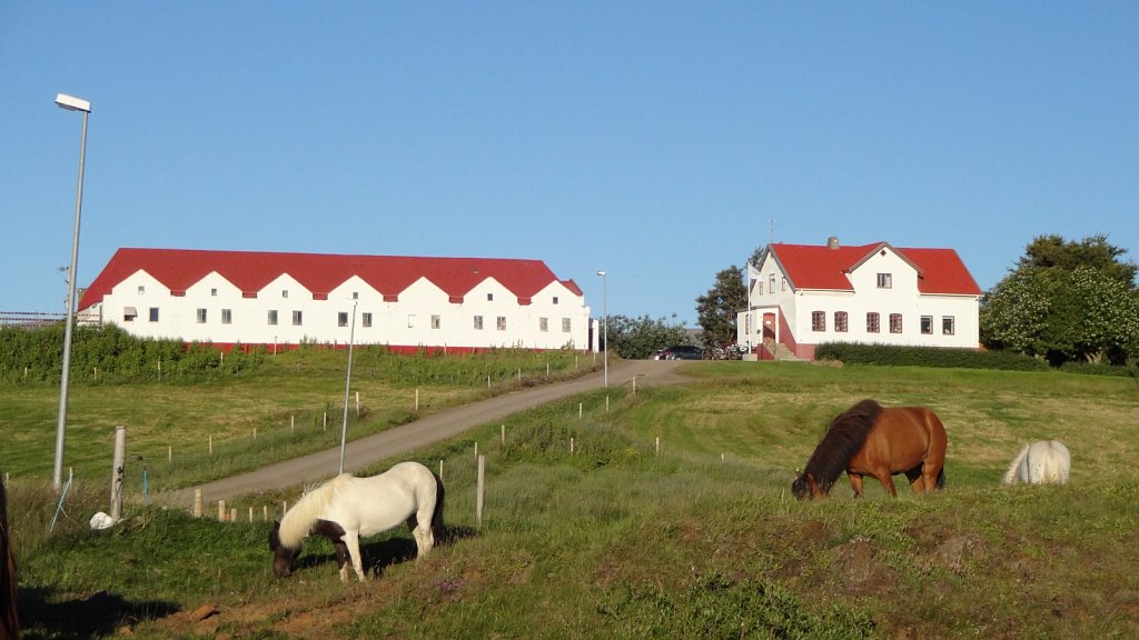 DSC00396.JPG