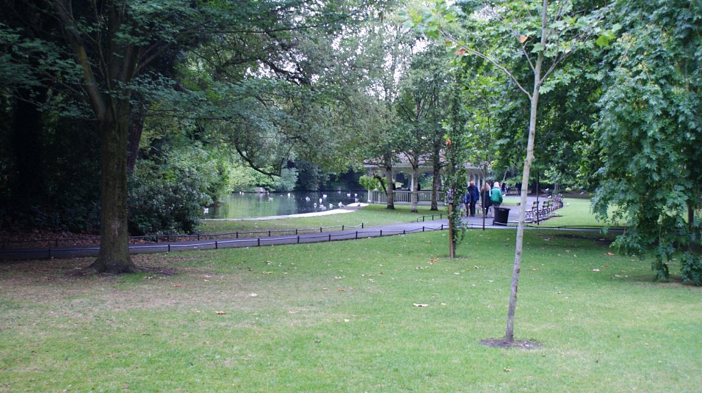 DSC03149.JPG