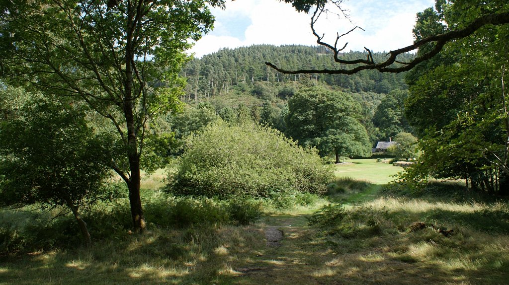 DSC03339.JPG