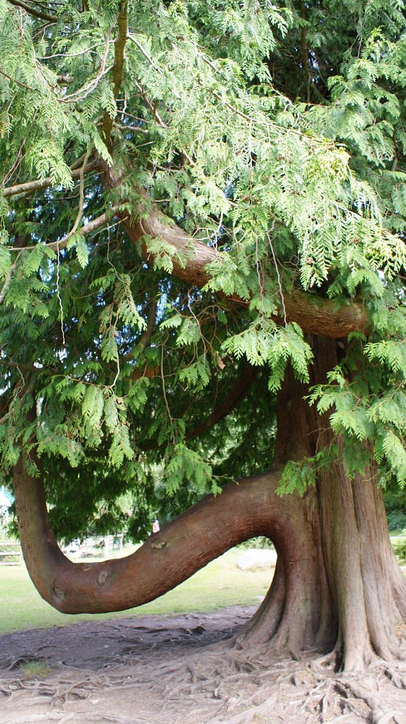 DSC03364.JPG