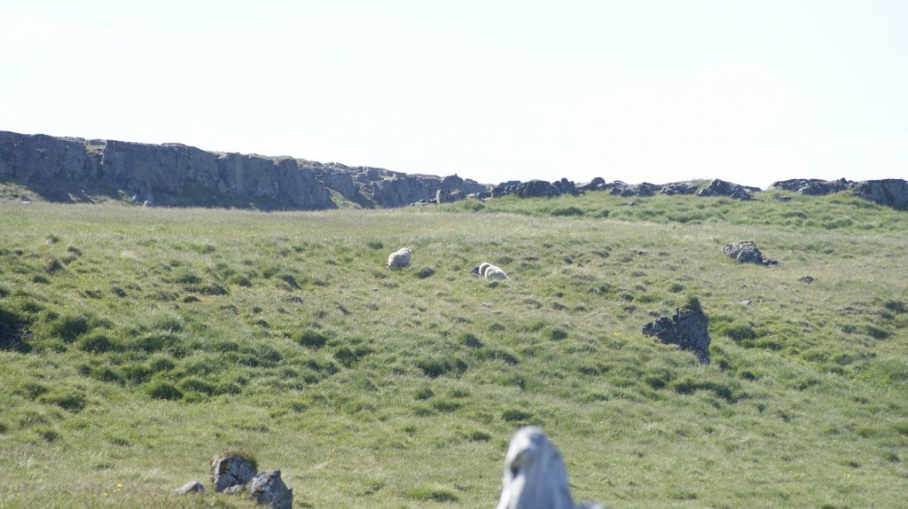DSC9970.JPG