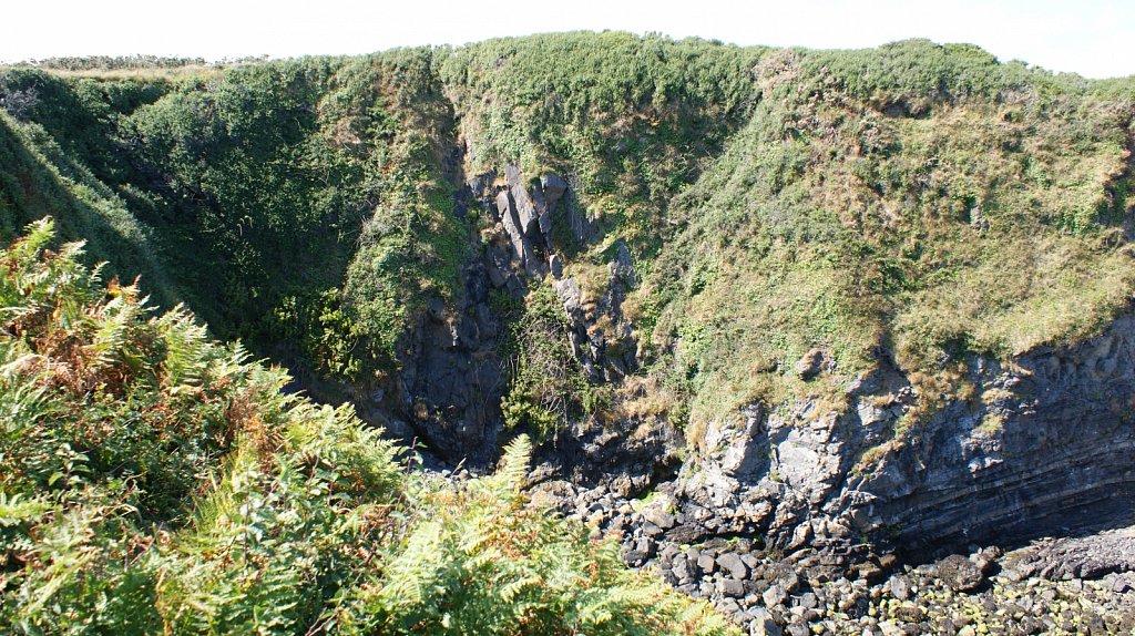 DSC03484.JPG