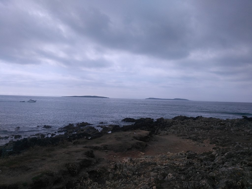 IMG-20180804-114134.jpg